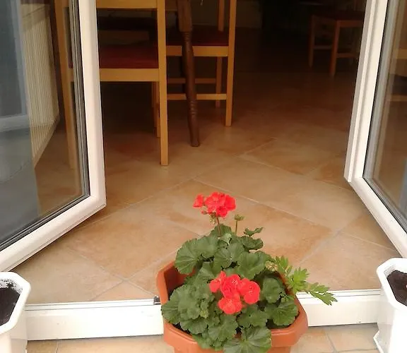 Ivan スクラーディン